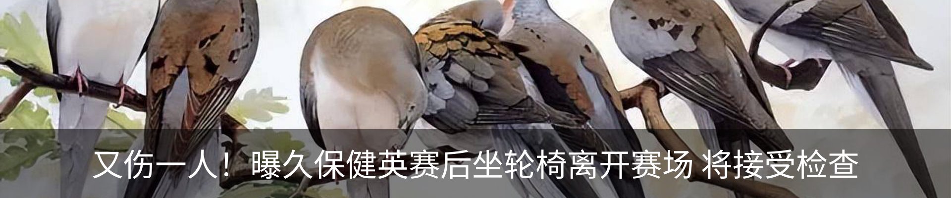 新闻动态